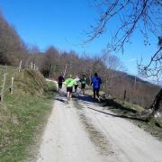 christophe 10