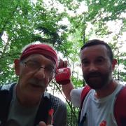 montcalm_26