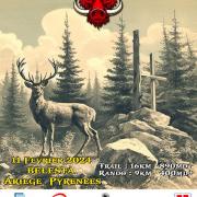 Affiche foretroyale 24