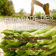 Asperges 2017