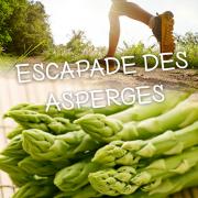 Asperges