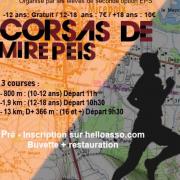 Mirepoix 2