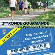 Noisette 2
