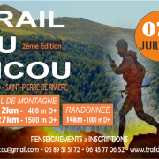 Picou2018