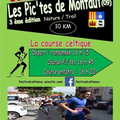 Pictes2017