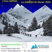 Ski alpi 2019