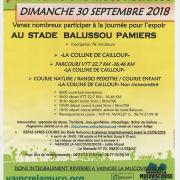 Virades2018